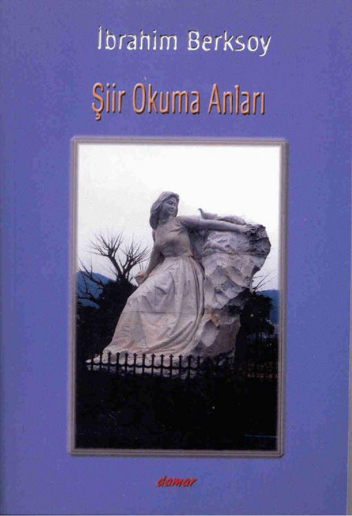 Şiir Okuma Anları