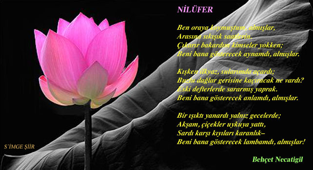 Nilüfer/Behçet Necatigil